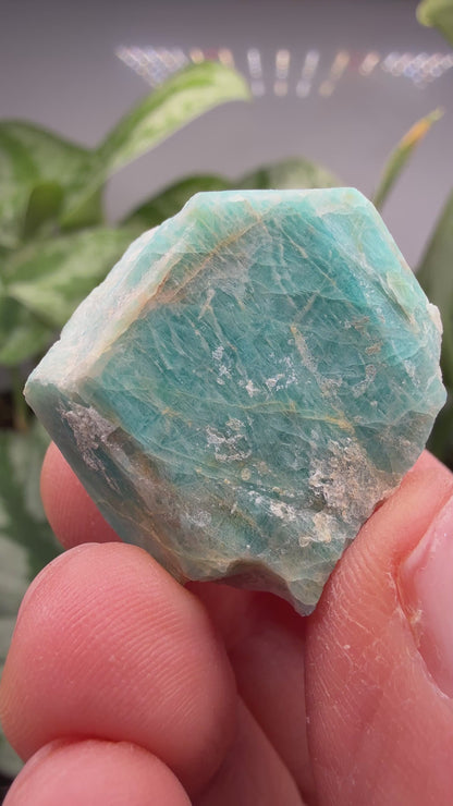 Amazonite- Lake George area, Pikes Peak, Teller County, Colorado, USA