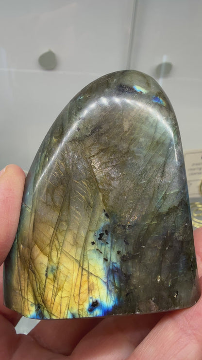 Labradorite Freeform with Blue & Yellow Flash- 2.7" inches