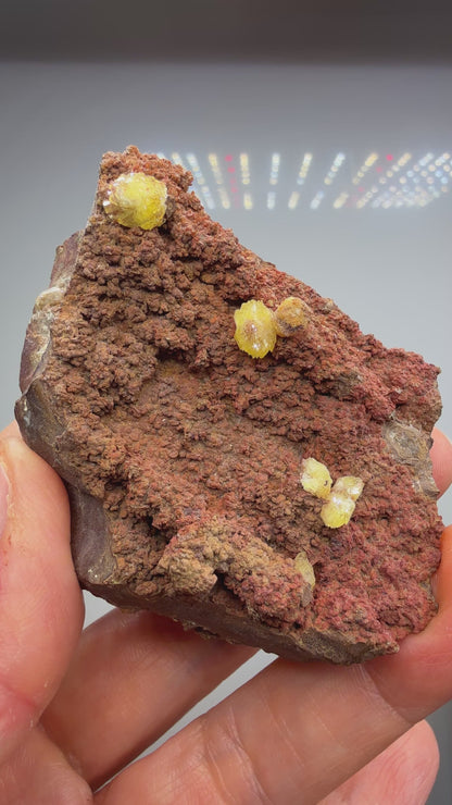 Paradamite- Ojuela Mine, Mapimí, Durango, Mexico, ex. Marty Zinn