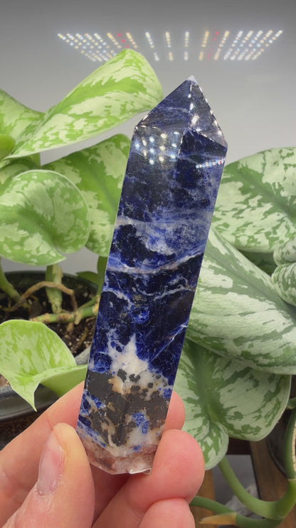 Sodalite Tower/Point- 3.625 inch