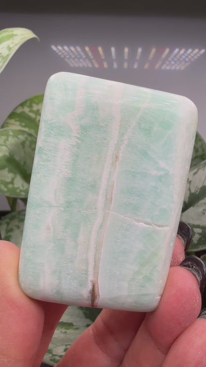 Caribbean Calcite Palm (Soap Shaped)