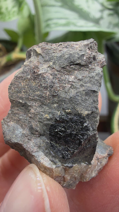 Fergusonite-(Y)- Iveland, Agder, Norway
