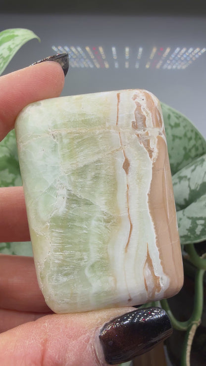 Caribbean Calcite Palm (Soap Shaped)