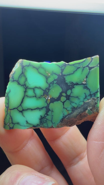 Variscite Slab- Utah