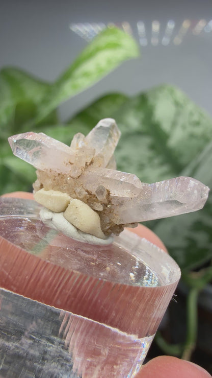 Amethyst- Las Vigas de Ramírez Municipality, Veracruz, Mexico