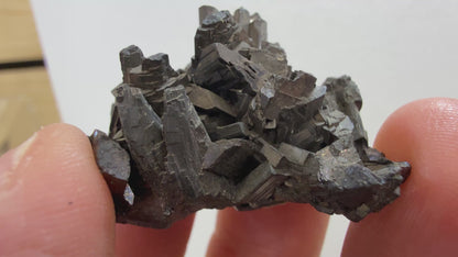 Enargite-  East Colusa Mine, Butte Mining District, Silver Bow County, Montana, USA