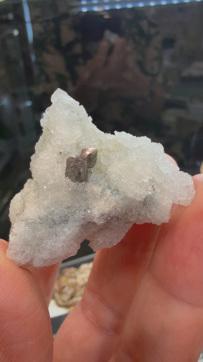 Scheelite, Quartz- Camp Bird Mine, Imogene Basin, Sneffels, Ouray County, Colorado, USA