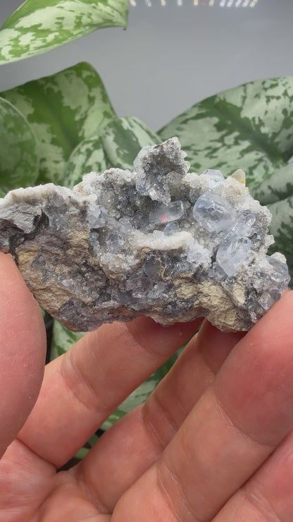 Celestine, Calcite- Meckley's Quarry, Mandata, Northumberland County, Pennsylvania, USA