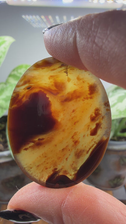 Amber Worry Stone- Indonesia