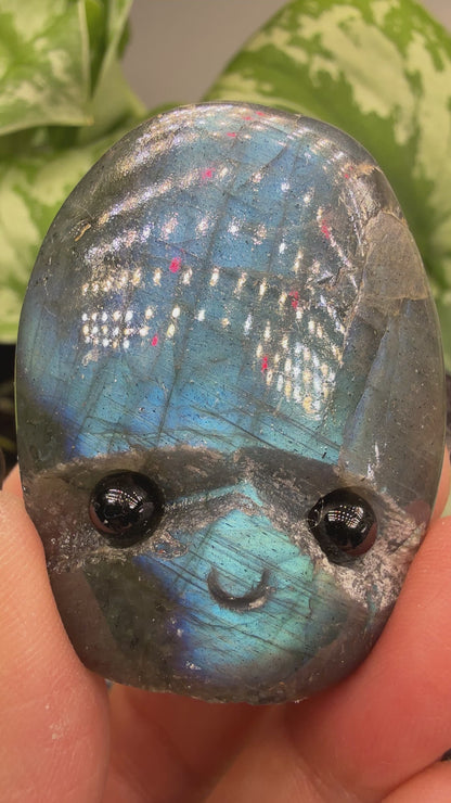 Labradorite Crystal Buddy- Polished Crystal with Eyes