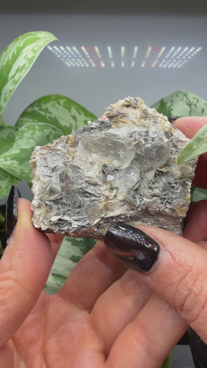 Aquamarine on Muscovite- Pingwu beryl mine, Mt Xuebaoding, Pingwu Co, Sichuan, China