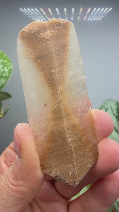 Gypsum var. Selenite- Great Salt Plains, Alfalfa County, Oklahoma, USA