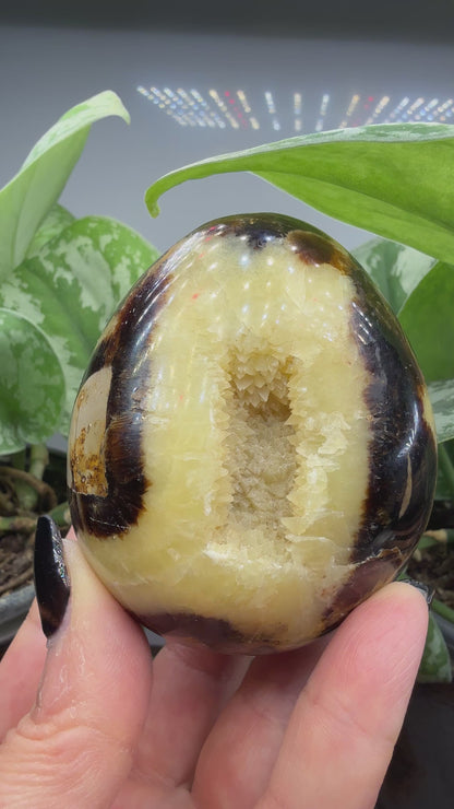 Septarian Egg- Madagascar