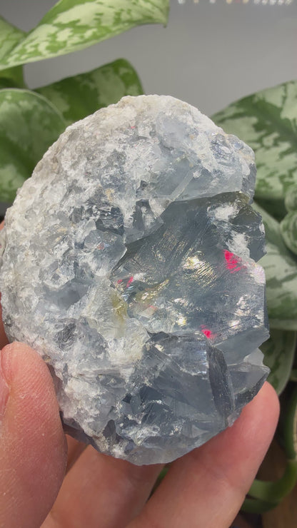 Celestine (Celestite) Geode/Cluster- Madagascar