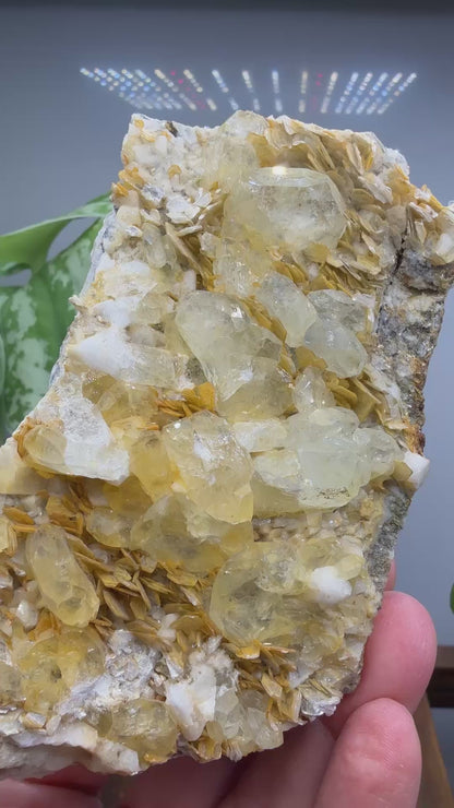 Aquamarine, Muscovite- Pingwu Beryl Mine, Mt Xuebaoding, Mianyang, Sichuan, China