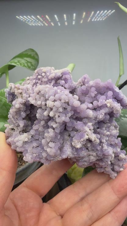 Grape Agate (Quartz var. Amethyst)- Mamuju Regency, West Sulawesi Province, Indonesia