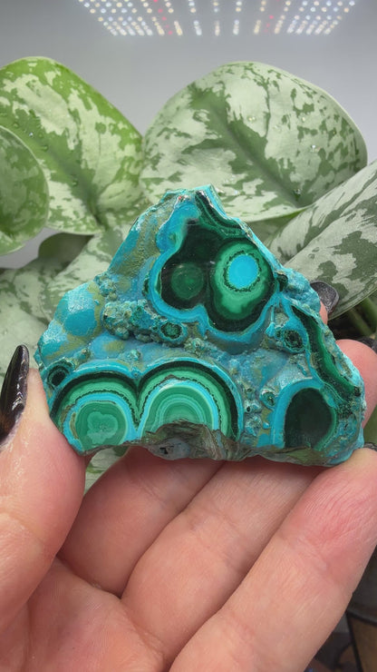 Malachite, Chrysocolla ("Malacholla")- Democratic Republic of the Congo (Slab)