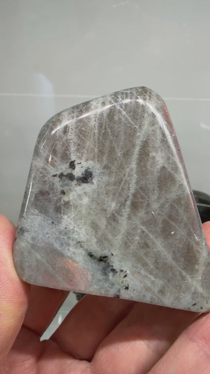Labradorite Freeform with Purple & Pink Flash- 2.5" inches
