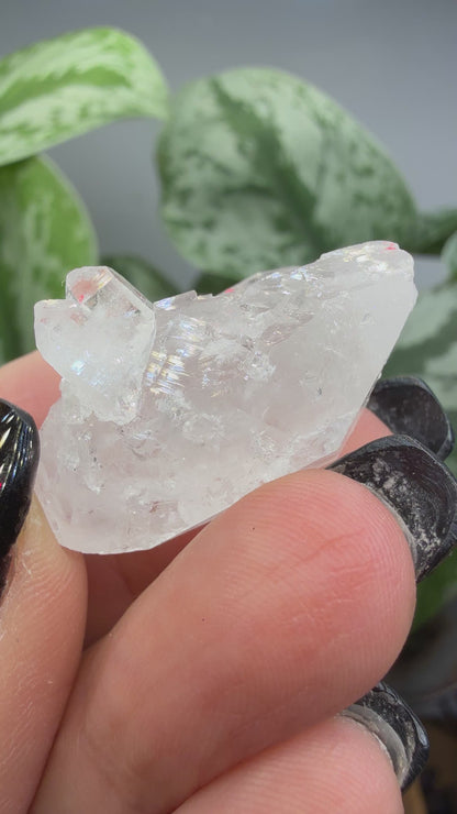 Clear Quartz Specimen- Jessieville, Arkansas