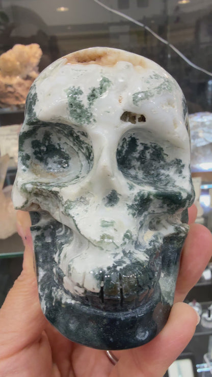 Moss Agate Skull- Large 1.6 pounds