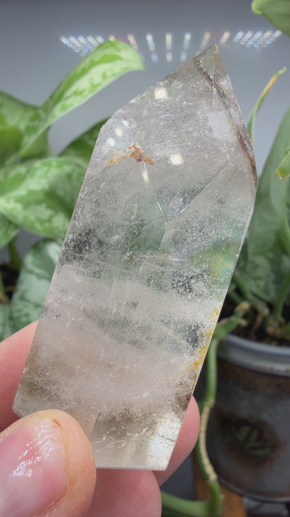 Garden Quartz/Lodolite Point- 2.5" inches tall