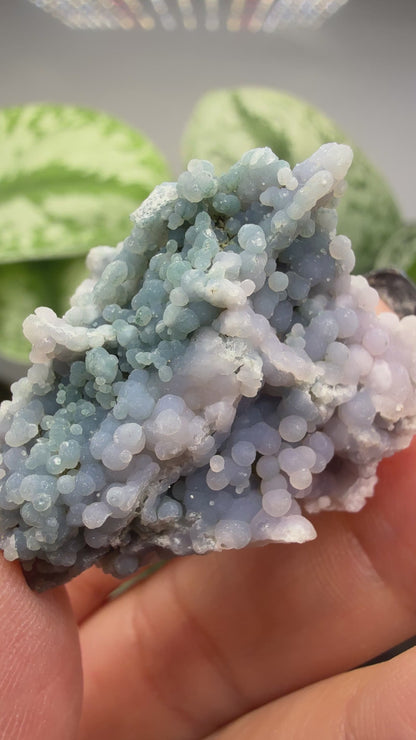 Grape Agate (Quartz var. Amethyst)- Mamuju Regency, West Sulawesi Province, Indonesia