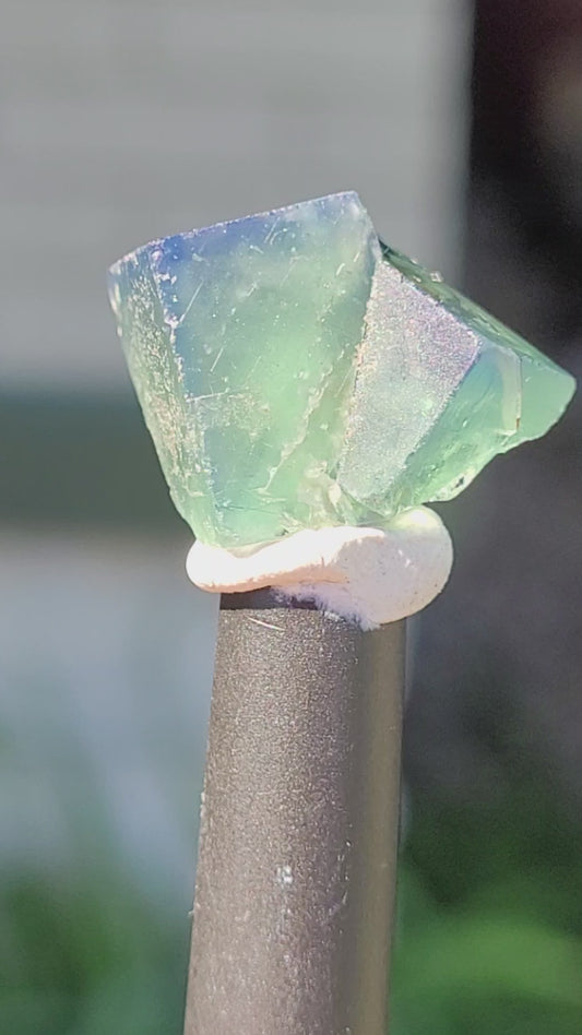 Fluorite- Pocket 42, Diana Maria Mine, Frosterley, Weardale, Co. Durham, England