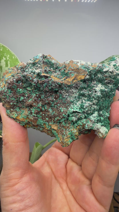 Brochantite- Pima County, Arizona, USA