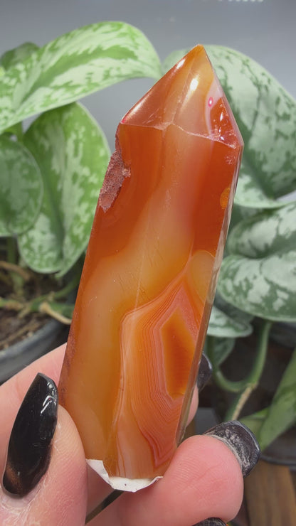Carnelian Tower