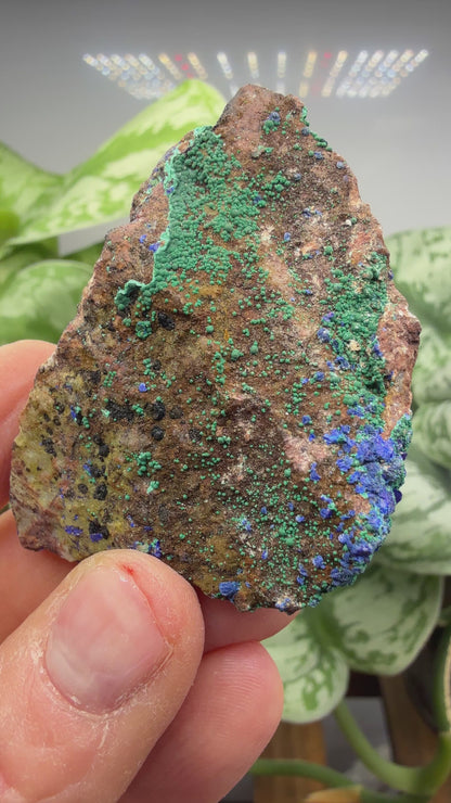 Azurite, Malachite- Morenci Mine, Morenci, Greenlee County, Arizona, USA