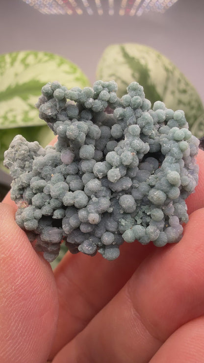 Grape Agate (Quartz var. Amethyst)- Mamuju Regency, West Sulawesi Province, Indonesia