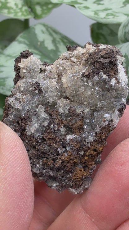 Tarbuttite Crystals- Broken Hill (Kabwe), Zambia- Type Locality