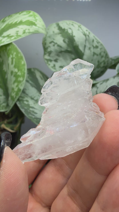 Clear Quartz Specimen- Jessieville, Arkansas
