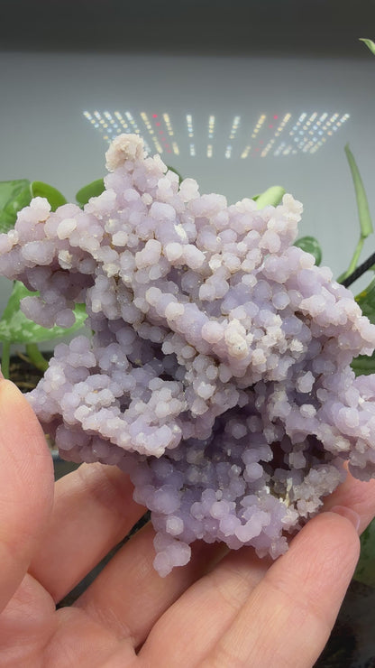 Grape Agate (Quartz var. Amethyst)- Mamuju Regency, West Sulawesi Province, Indonesia