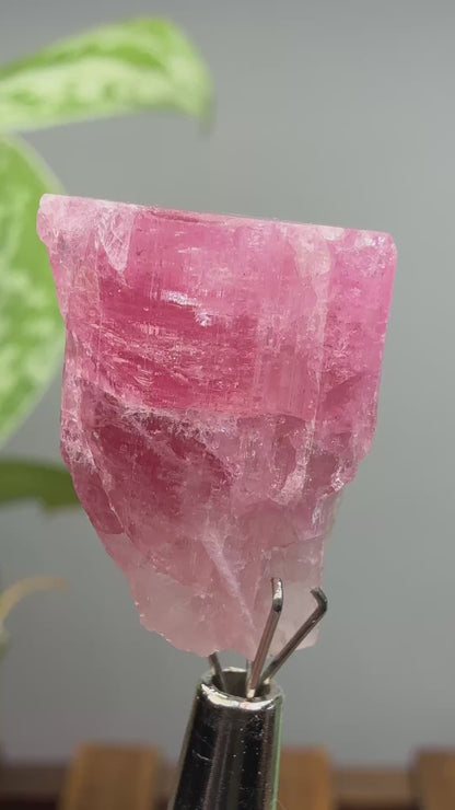 Tourmaline- Água Branca pegmatite, Barra do Salinas, Coronel Murta, Minas Gerais, Brazil