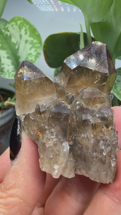 Citrine, var. Kundalini- Luena (Lwena), Democratic Republic of the Congo