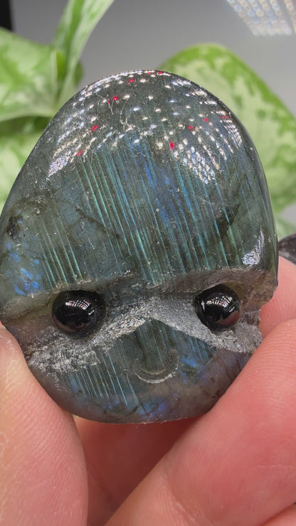Labradorite Crystal Buddy- Polished Crystal with Eyes