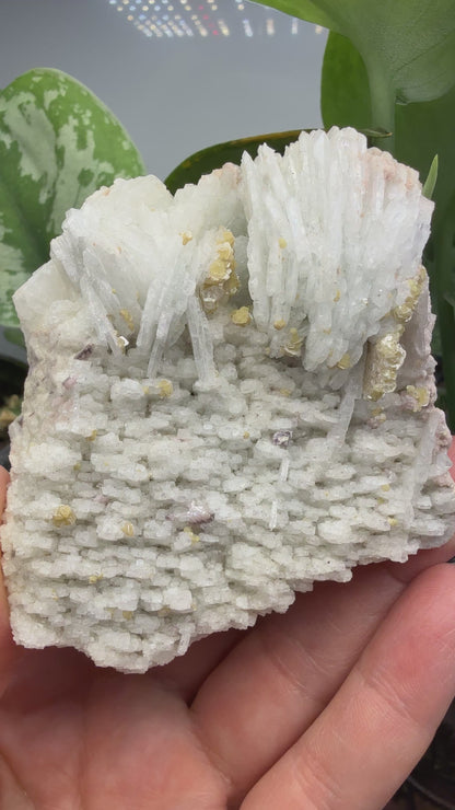 Cookeite, Lepidolite, Albite- Itinga, Bahia, Brazil