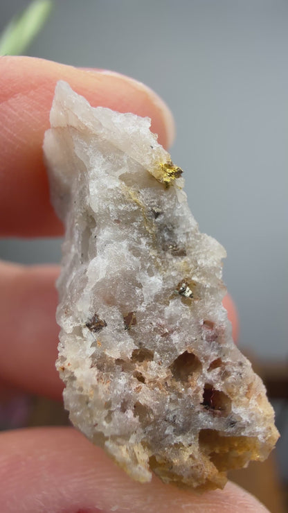Native Gold in Quartz- La Choya Mine, Sonoyta,  Plutarco Elías Calles , Sonora, Mexico