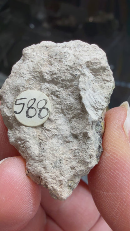 Empressite- Empress Josephine Mine, Bonanza District, Saguache Co, Colorado, USA