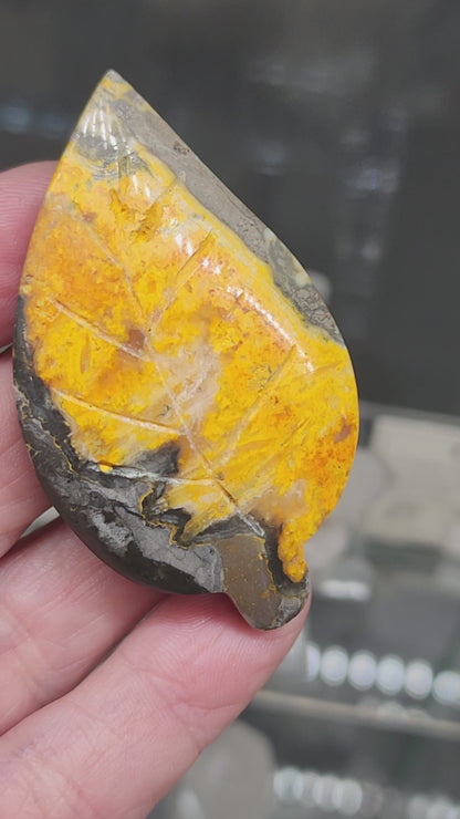 Bumblebee Jasper Leaf Carving - 2.25"