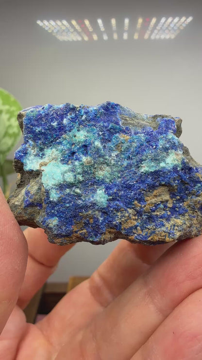 Azurite with Malachite- California