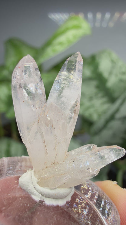 Amethyst, Clear Quartz- Las Vigas de Ramírez Municipality, Veracruz, Mexico