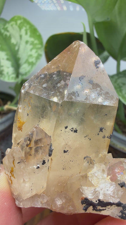 Citrine, var. Kundalini- Luena (Lwena), Democratic Republic of the Congo