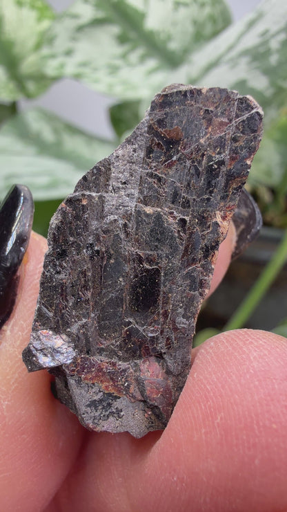 Tilasite- Långban Mine, Långban Ore District, Filipstad, Värmland County, Sweden