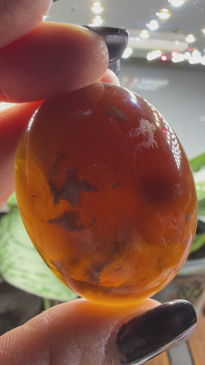 Amber Worry Stone- Indonesia