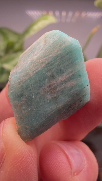 Amazonite- Lake George area, Pikes Peak, Teller County, Colorado, USA