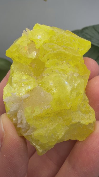 Native Sulfur- Racalmuto, Agrigento Province, Sicily, Italy