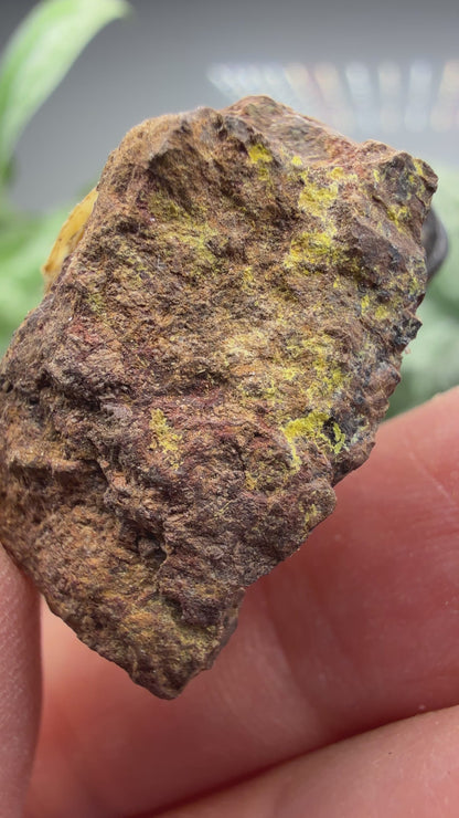Cyrtolite, 5.5% Hafnium- Bedford, New York