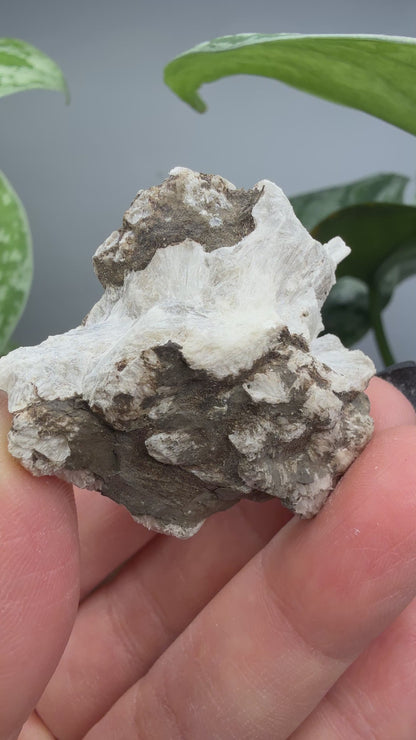 Probertite- Lang Mine, Tick Canyon Borate deposit, Tick Canyon, Lang, Los Angeles, California, USA